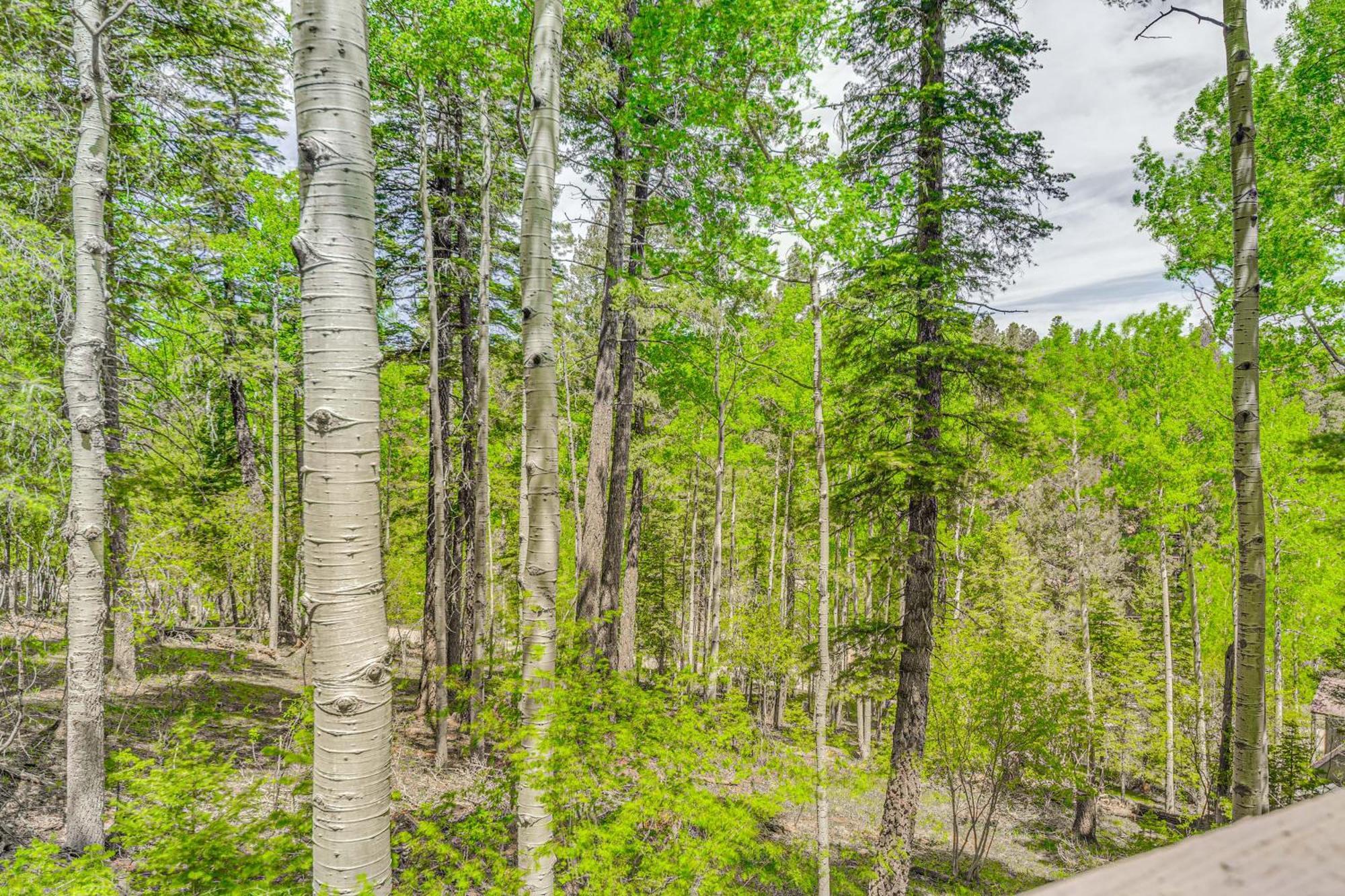 Quaint Cloudcroft Cabin With Stunning Forest Views! Eksteriør billede